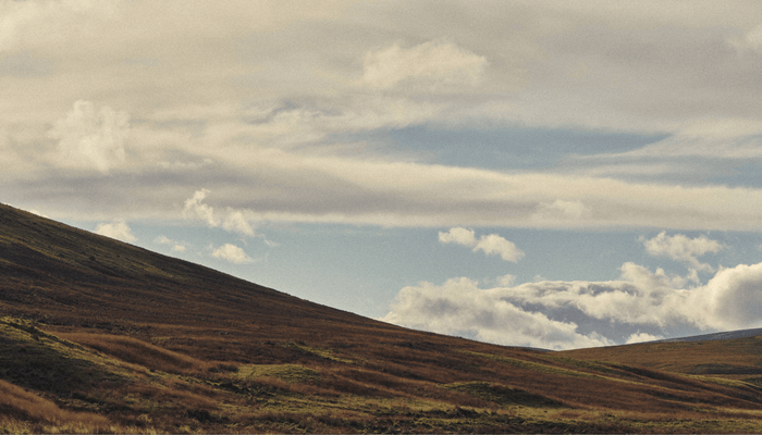 Heritage Dressing Reimagined