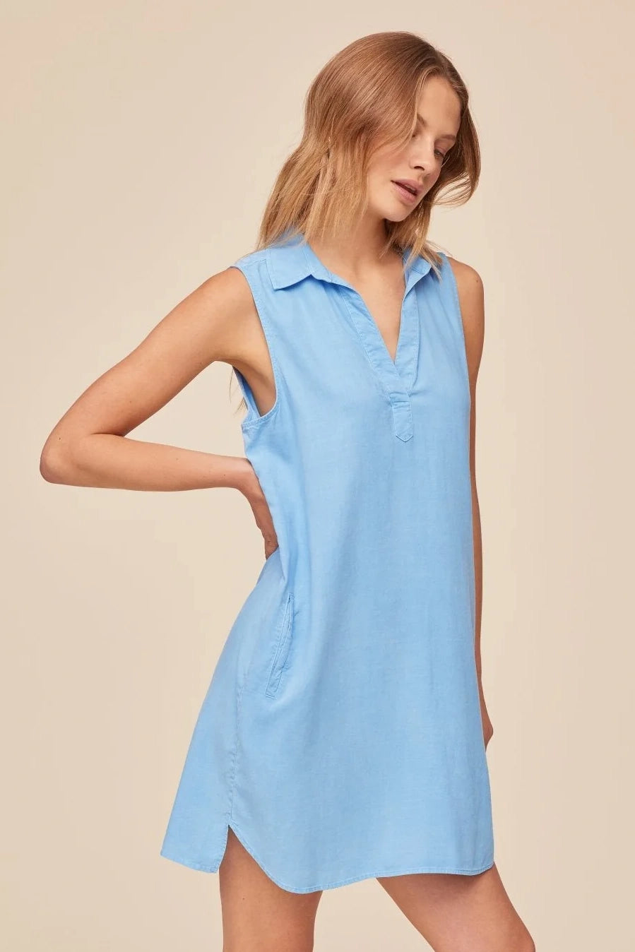 Sleeveless A Line Dress Hill's Dry Goods Sleeveless A Line Dress Hill's Dry Goods