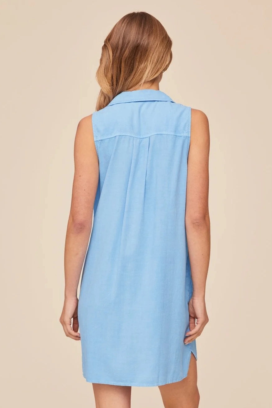Sleeveless A Line Dress Hill's Dry Goods Sleeveless A Line Dress Hill's Dry Goods