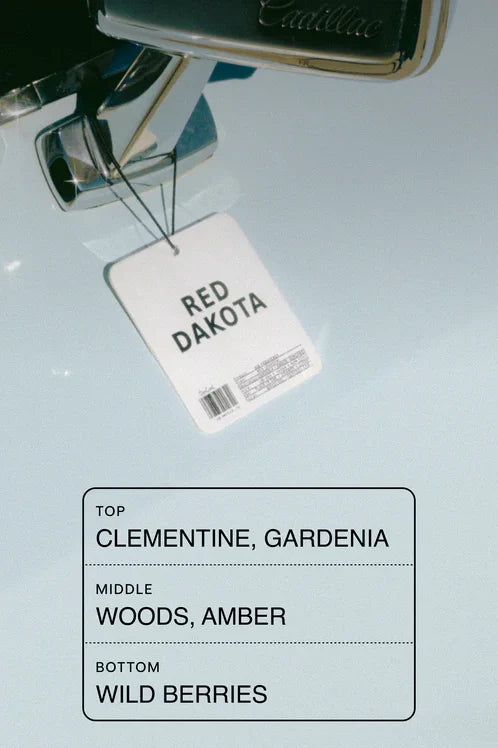 Air Freshener Accessories DedCool