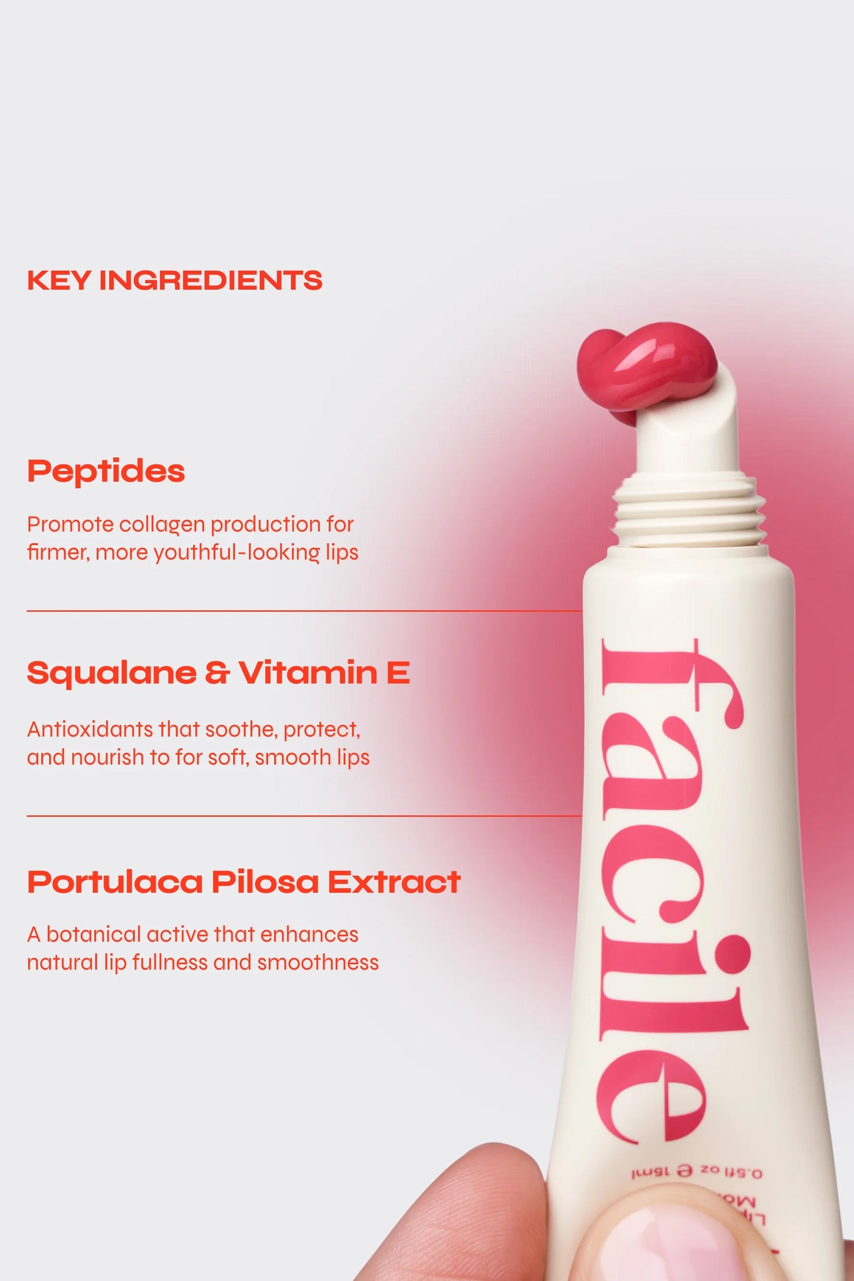 Lip Jelly Accessories Facile