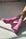 Girlfriend Socks Accessories Le Bon Shoppe