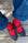 Her Socks Accessories Le Bon Shoppe   