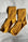 Sneaker Socks Accessories Le Bon Shoppe