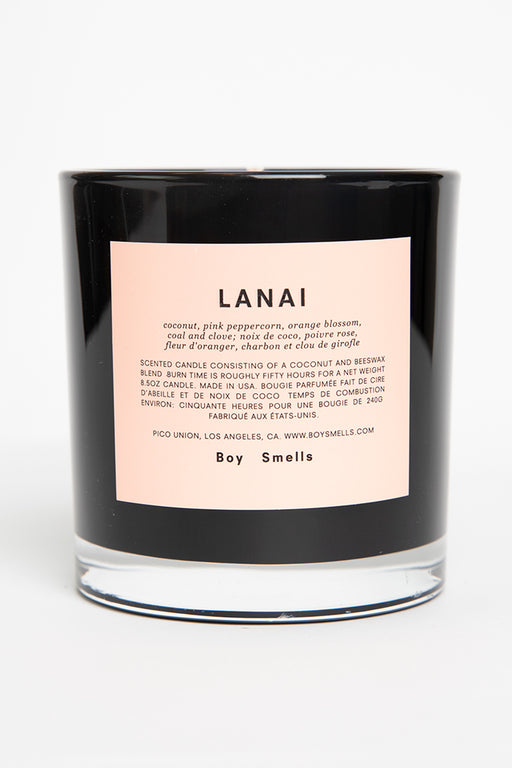 Boy-Smells-Candle-Lanai